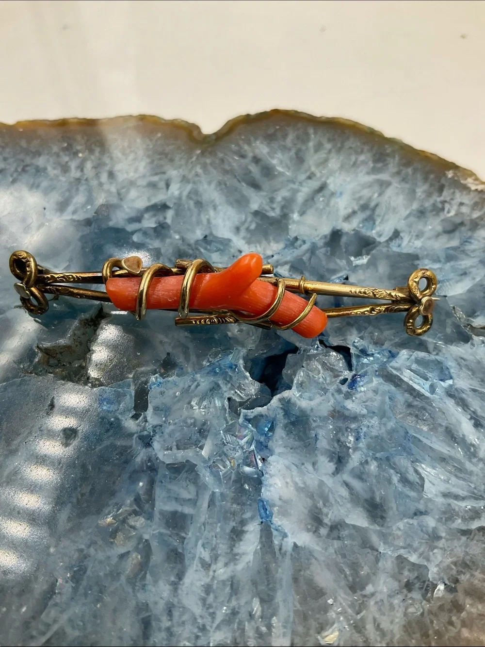 Vtg. 1880’s Victorian Red Branch Coral Affixed To A Gold Filled Ornate Brooch